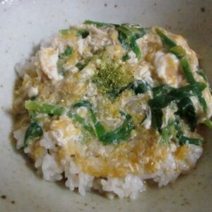 ネギたっぷり親子丼